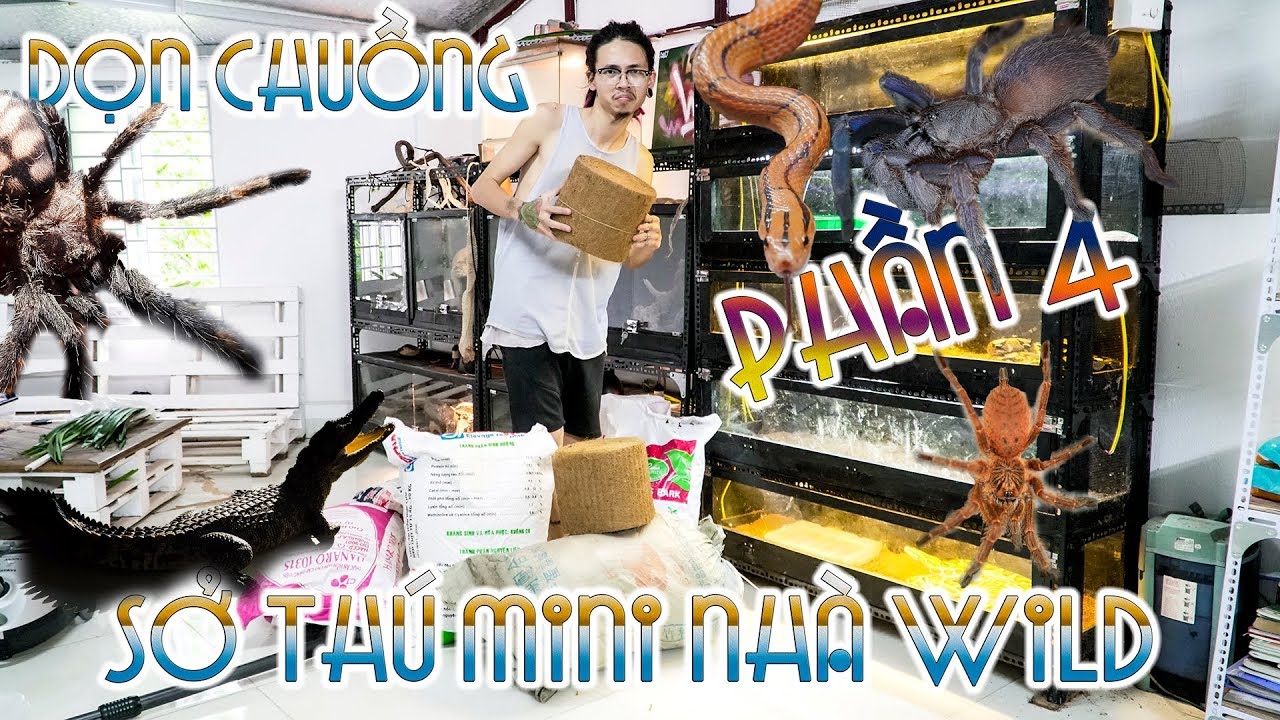 baboon face Dọn vệ sinh chuồng tại SỞ THÚ MINI của Wild - Phần 4 | WILDVN TV