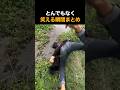 とんでもなく笑える瞬間まとめ😂😂😂