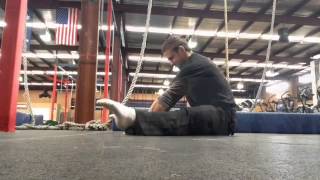 Seated Straddle Compression Lifts