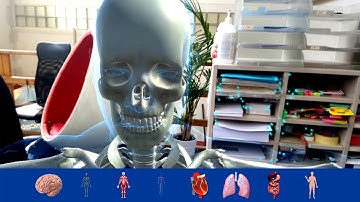 Human body in Augmented Reality (markerless app)