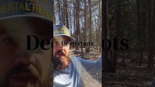 Deep roots #selfhelp #selflove #motivation #inspiration #growth #shorts