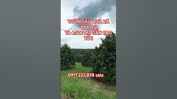 💥 BÁN VƯỜN SẦU RIÊNG LONG KHÁNH 2 sào giá 1 tỉ 150 sào gần CAO TỐC PHAN THIẾT DẦU GIÂY