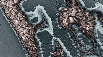 Pareidolia - Trailer | IFFR 2019