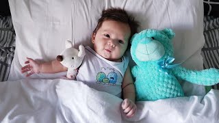 Jewel - Brahms  lullaby with lyric | in description  bellow