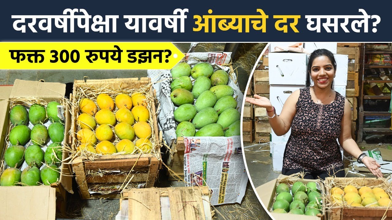 दरवर्षीपेक्षा यावर्षी आंब्याचे दर घसरले? फक्त 300 रुपये डझन? APMC Market Navi Mumbai | Mango | SA2