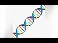 Causes of Cancer: What is Cancer? Video Series