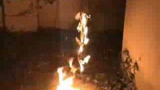 Burning Bras