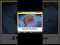 【爆笑】写真で一言にアフレコしてみたpart11#ボケて#アフレコ#写真で一言