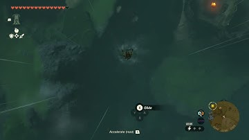 [DAY 668] of finding one korok seed in TotK everyday until we get them all