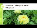 Реконструкция зоны отдыха