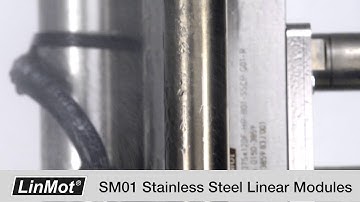 SM01 Stainless Steel Linear Modules