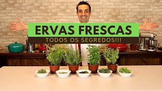 Tudo o que você precisa saber sobre ERVAS FRESCAS!!! Tomilho, Alecrim, Sálvia e muito mais!