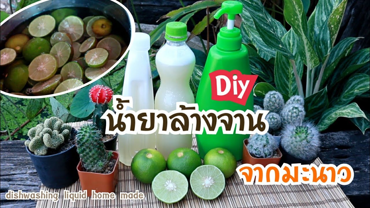 วิธีทำน้ำยาล้างจานจากน้ำมะนาวแบบประหยัดงบไม่เกิน 40 บาทDIY dishwashing from limes juice