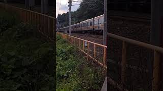 関ヶ原の山中を駆け抜ける３１３系新快速電車