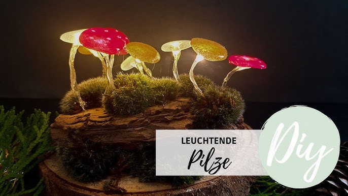 Herbstdeko: Leuchtende Pilze TikTok Trend 