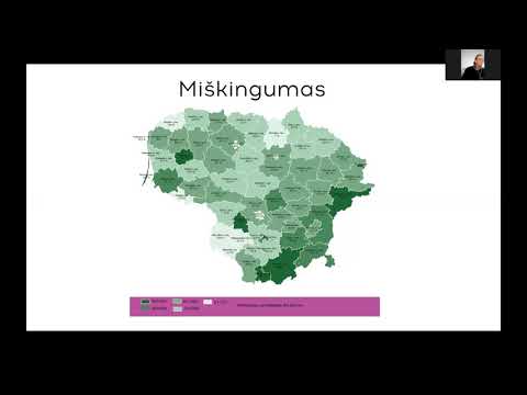 Virtuali pamoka - Lietuvos teritorija ir miestų herbai