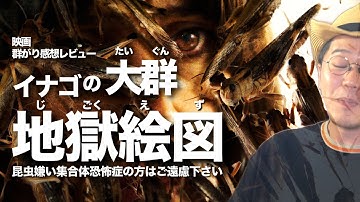 【イナゴの大群×ホラーの異色作】映画 群がり【警告後ネタバレあり】【感想レビュー】【Netflix】