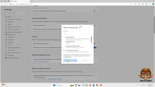 how to fix bing chat when it’s not working in windows 11