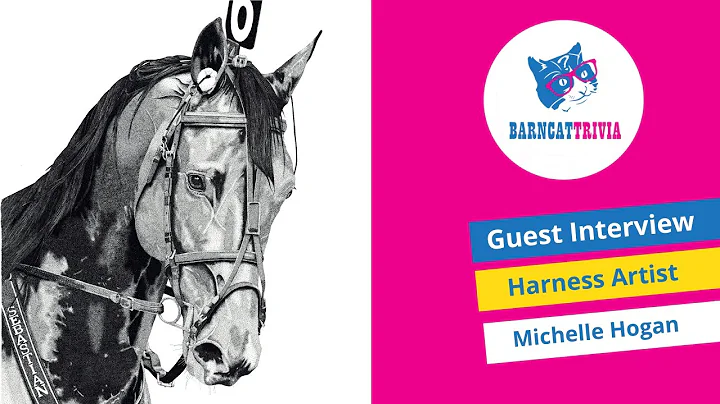 Episode 8 - Harness Artist Michelle Hogan - Full I...