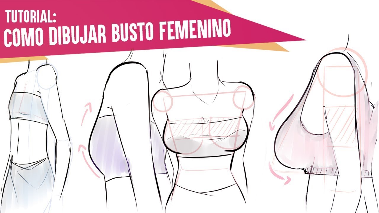 ✎COMO DIBUJAR TORSO FEMENINO (Tipos de busto) | TUTORIAL | BGM94 - thptnganamst.edu.vn