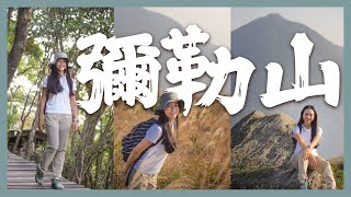 遍山芒草｜彌勒山郊遊徑．心經簡林．昂坪棧道｜香港第八高峰 ... 