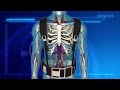Video: Khiên chắn bức xạ bảo vệ phi hành gia trước bão mặt trời
