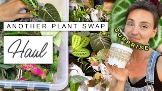 Come Plant SWAPPING With Me!  House Plant Swap Haul