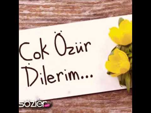 özür dilerim