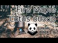 Fire Maple Lotus. Хотели, как лучше…