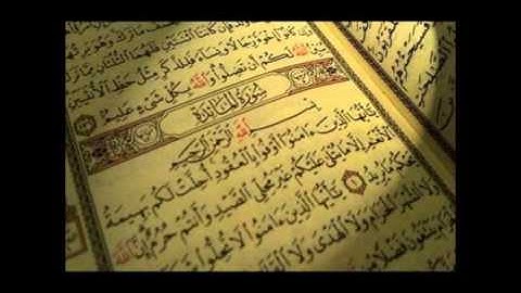سورة المائدة من الآية 51 57 للقارئ مشاري العفاسي