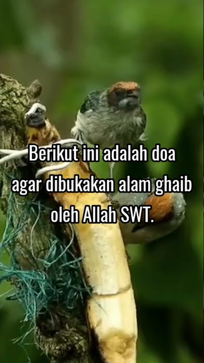 Doa Untuk Melihat Alam Gaib