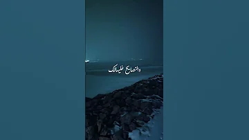 Assala Fouq Lyrics اصاله فوق حالات واتس 