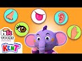 Five Senses Puzzle Game | Educational Videos For Kids | Hooplakidz Toons