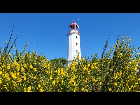 Deutsche Ostseeküste: Hiddensee (4K-Video, kommentiert)