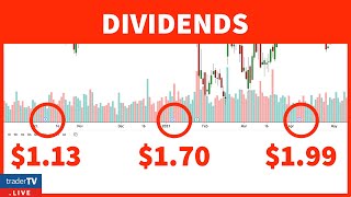 The Ultimate Guide To Choosing Dividend Stocks For Beginners