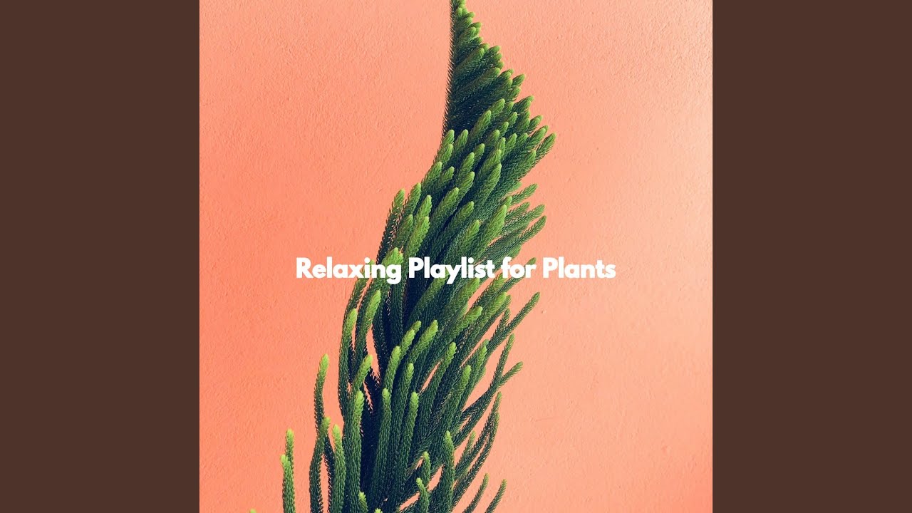 Paradise Like Music for Downtempo Games