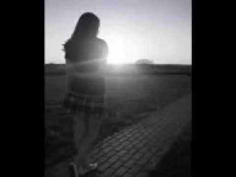 ببرد ولشمس حدي