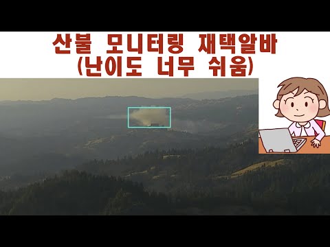   산불 화재 모니터링 재택알바 눈으로 보기만 하면되는 쉬운알바