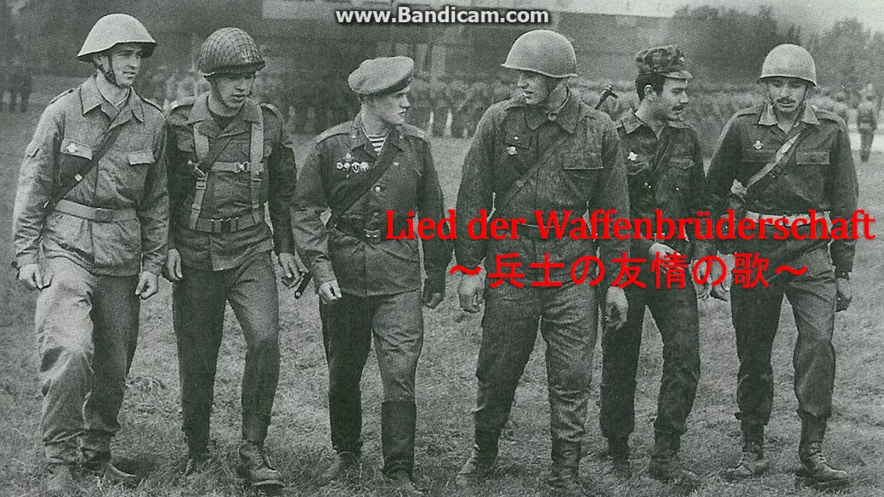 варшавский договор вооружение. варшавский договор вооружение. варшавский договор вооружение. варшавский договор. варшавский договор вооружение.