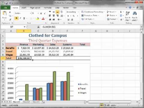 Excel 2010: AutoSum and Fill Handle