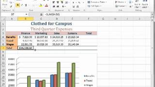 Excel 2010: AutoSum and Fill Handle