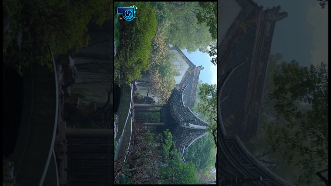 Beautiful nature with Chinese vibe  