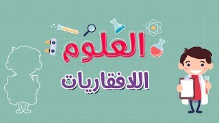 العلوم | اللافقاريات ( شعبة الإسفنجيات - شعبة معائيات الجوف )