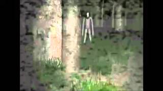 SLENDER TENTACLES