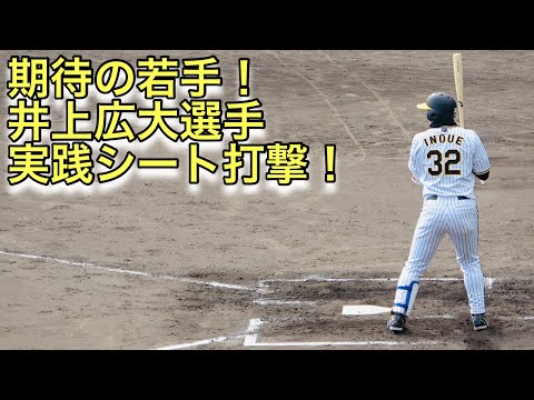 若き大砲!井上広大選手の実践シート打撃!
