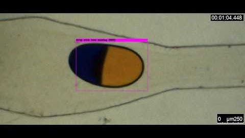 real-time droplet detection and classification in microchannel using deep neural network