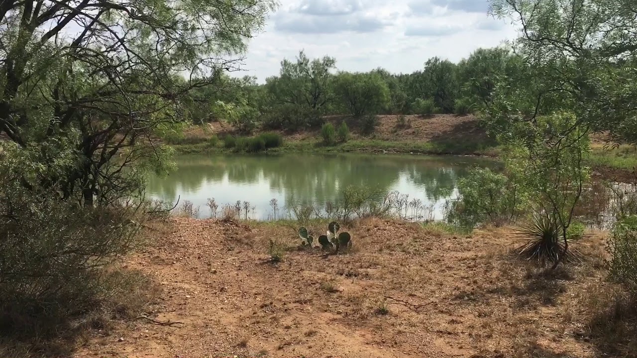 A Hunter's Paradise near Brady, Texas YouTube