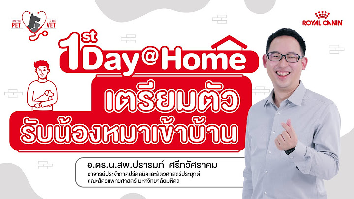 TAKE YOUR PET TO THE VET EP07 : 1St Day @ home เตรียมตัวรับน้องหมาเข้าบ้าน