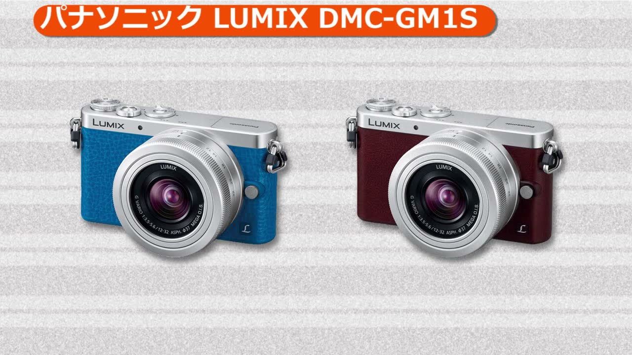 パナソニック LUMIX DMC-GM1SK-T レンズキット ブラウン | ミラーレス一眼