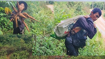 khawb qos ntoos pub qhaib os 15 /7/2024